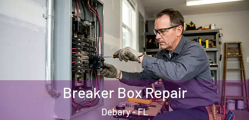 Breaker Box Repair Debary - FL