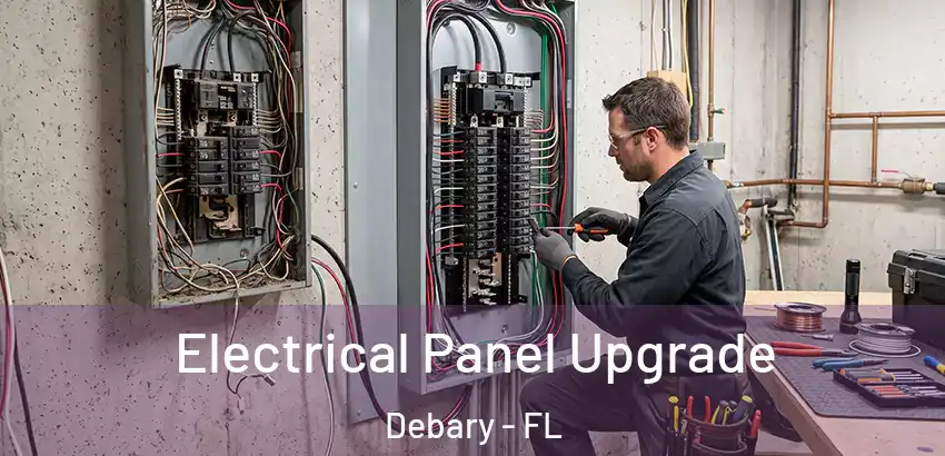  Electrical Panel Upgrade Debary - FL